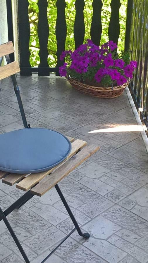 Apartman Ruzica Ogulin Exterior photo